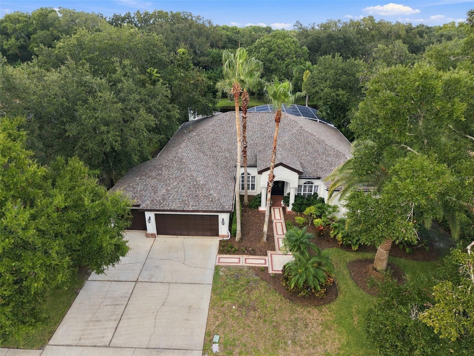3921 Arlington Dr, Palm Harbor, FL 34685 photo