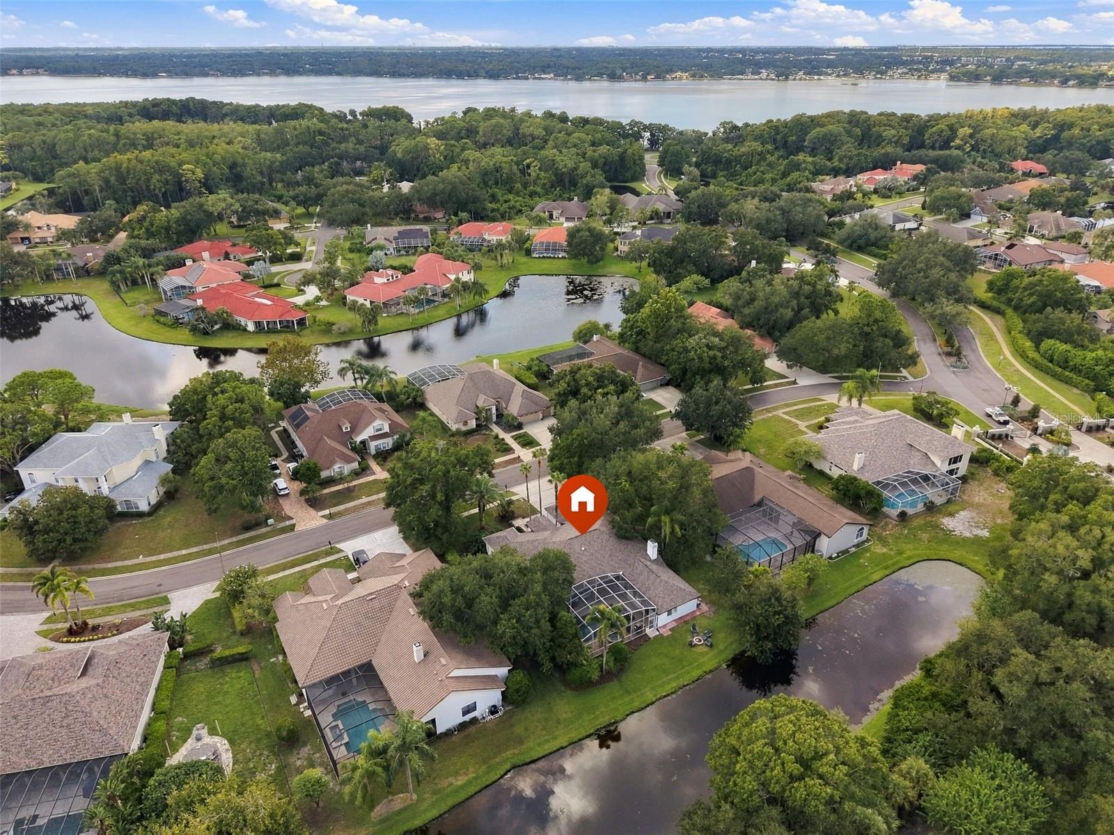 3921 Arlington Dr, Palm Harbor, FL 34685 photo