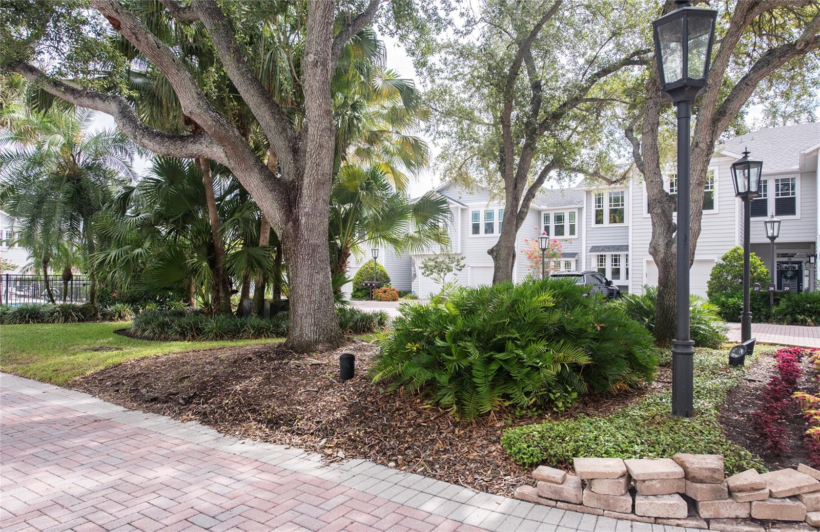 2311 W Morrison Ave #26, Tampa, FL 33629 photo