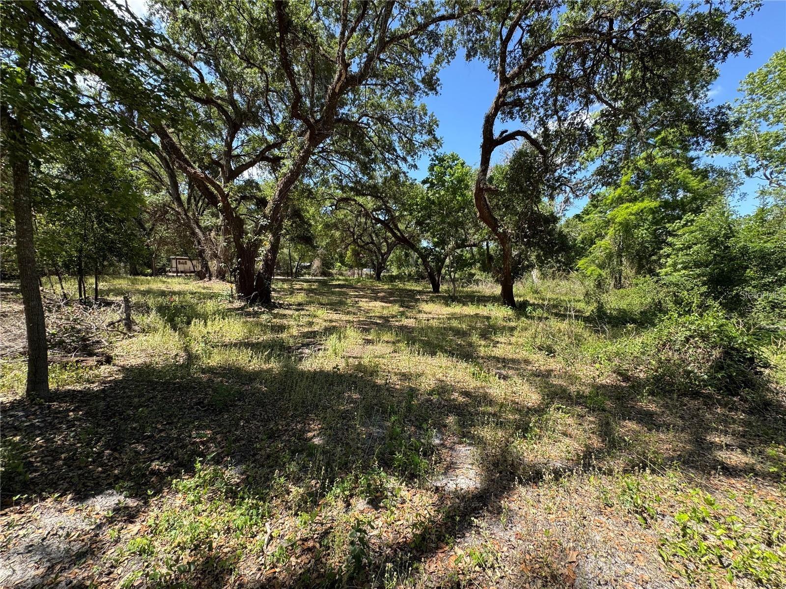 Tannahill St, Dade City, FL 33523 photo