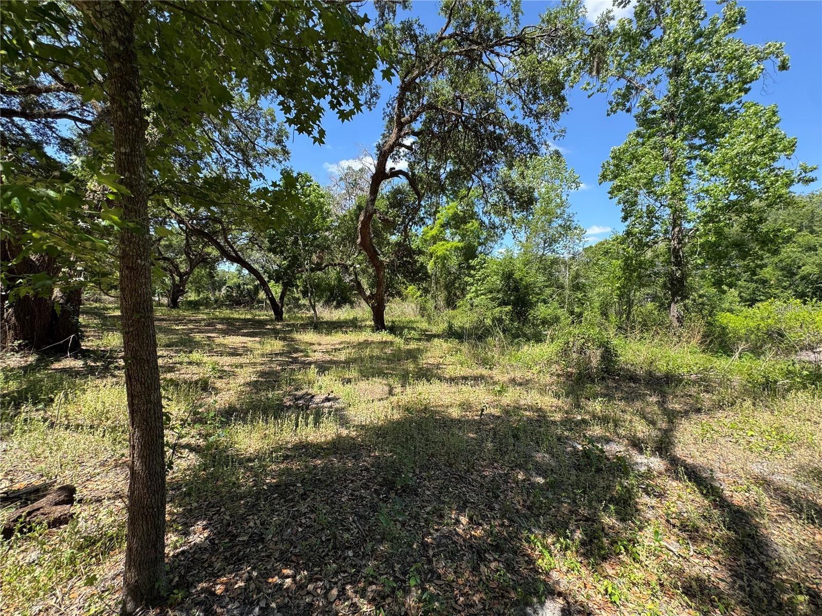 Tannahill St, Dade City, FL 33523 photo