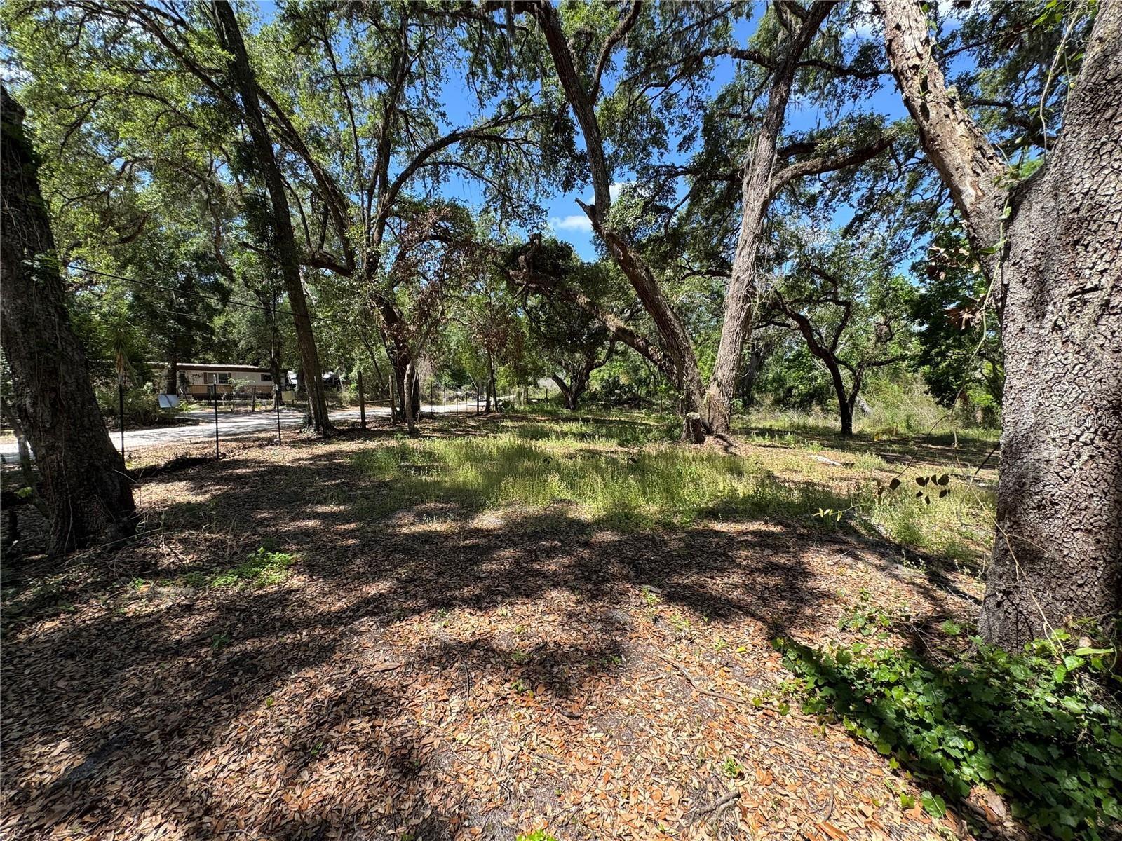 Tannahill St, Dade City, FL 33523