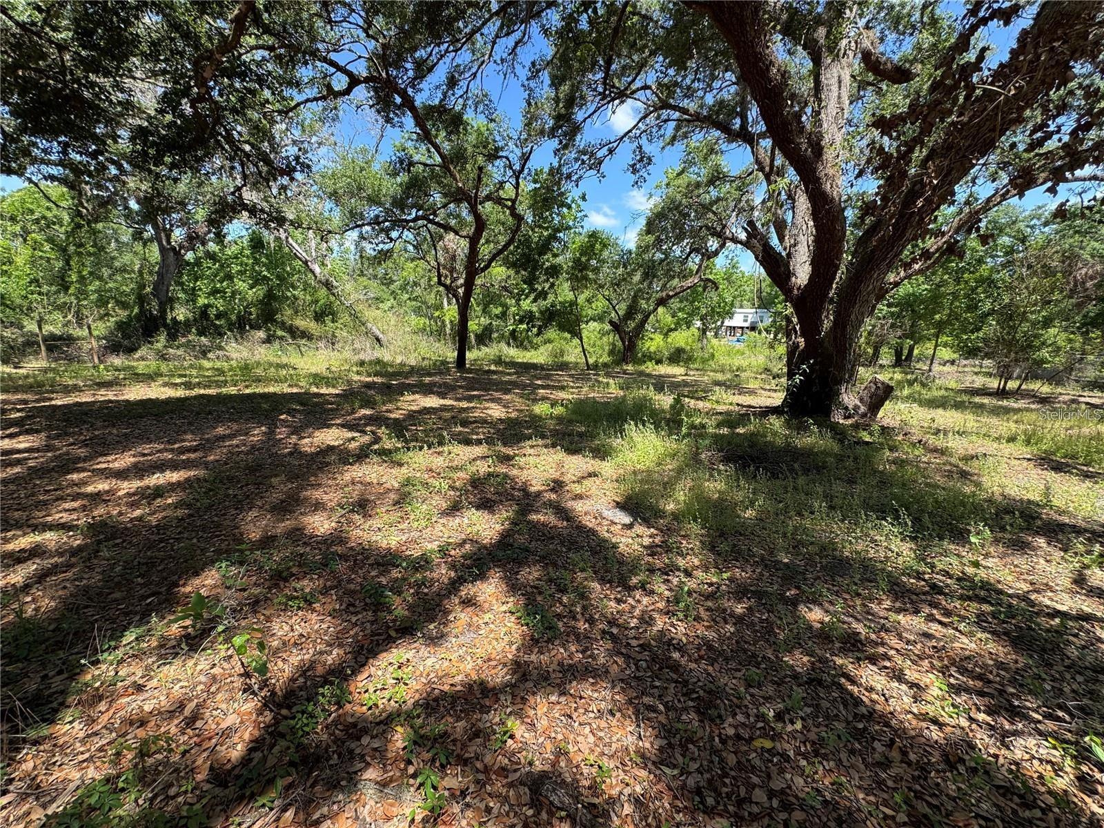 Tannahill St, Dade City, FL 33523 photo