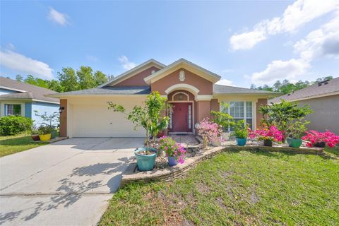 Single Family Residence in WESLEY CHAPEL FL 5624 DARK STAR LOOP.jpg