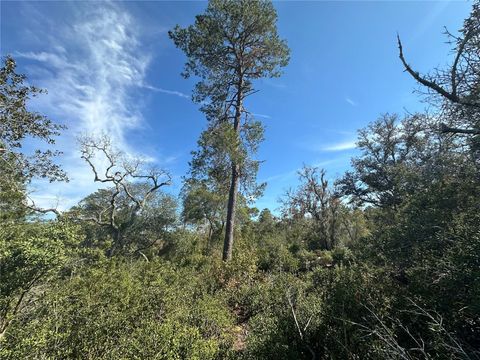  in FORT MC COY FL TBD NE 157 TERRACE.jpg