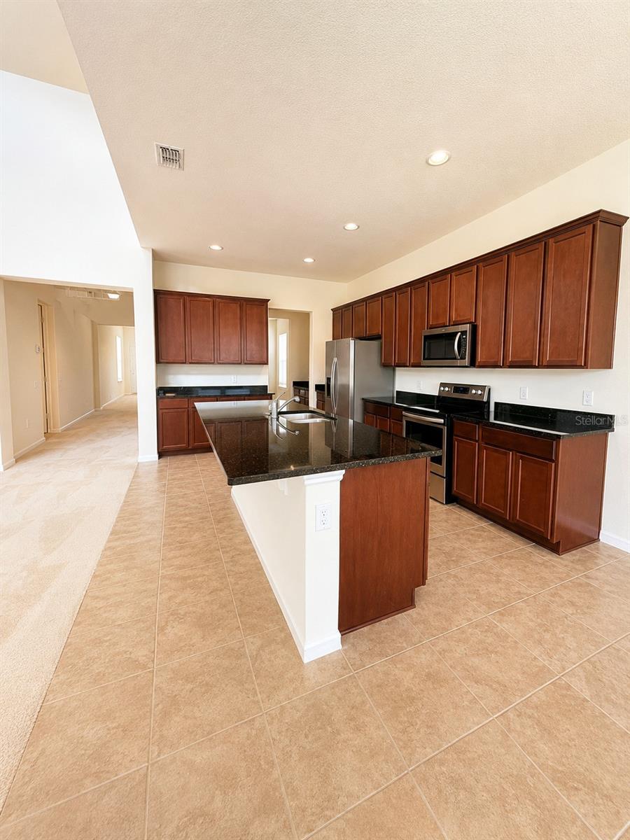 10103 Austrina Oak Loop, Winter Garden, FL 34787 photo
