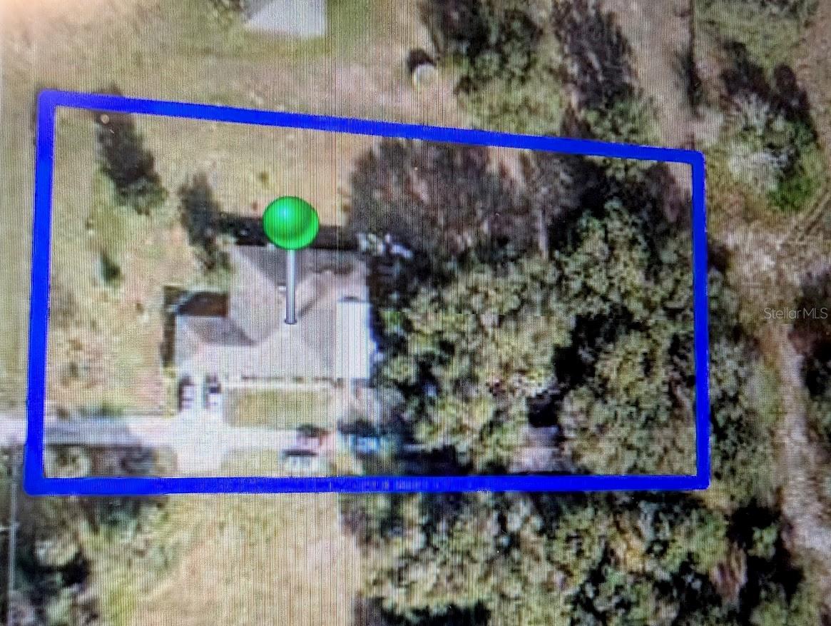 310 Tomato Hill Rd, Leesburg, FL 34748 photo
