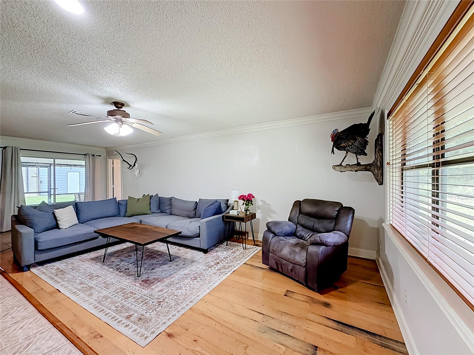 26586 SE Highway 42, Umatilla, FL 32784 photo
