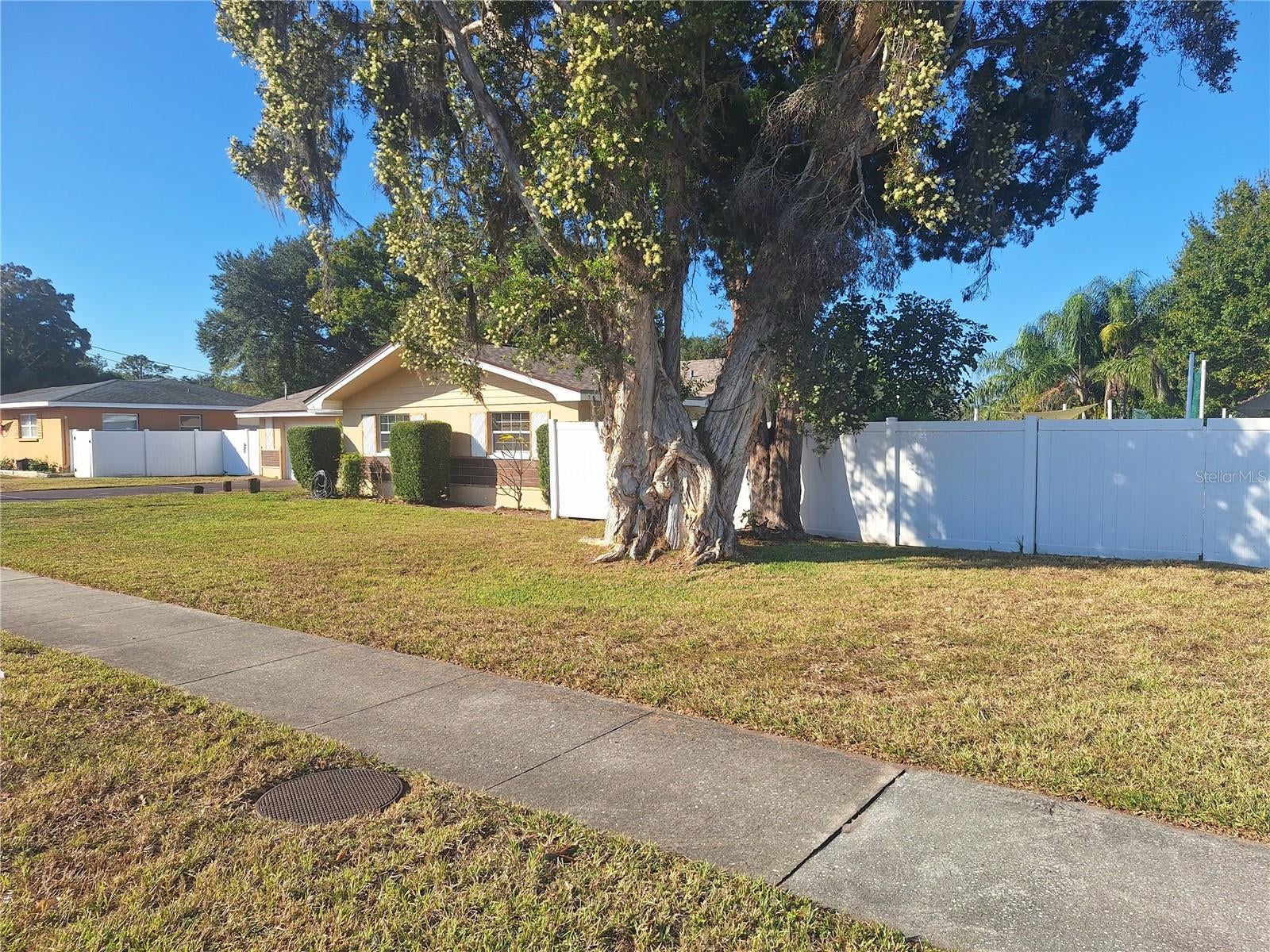 1202 S Keene Rd, Clearwater, FL 33756 photo