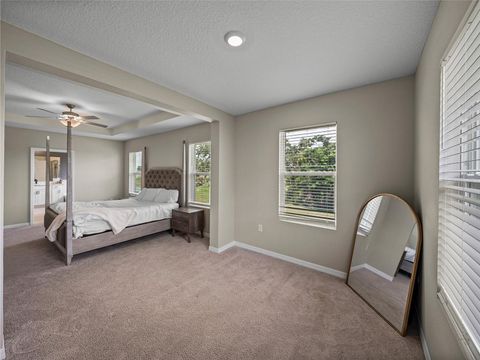 Single Family Residence in DADE CITY FL 13735 WINEBERRY DRIVE 44.jpg