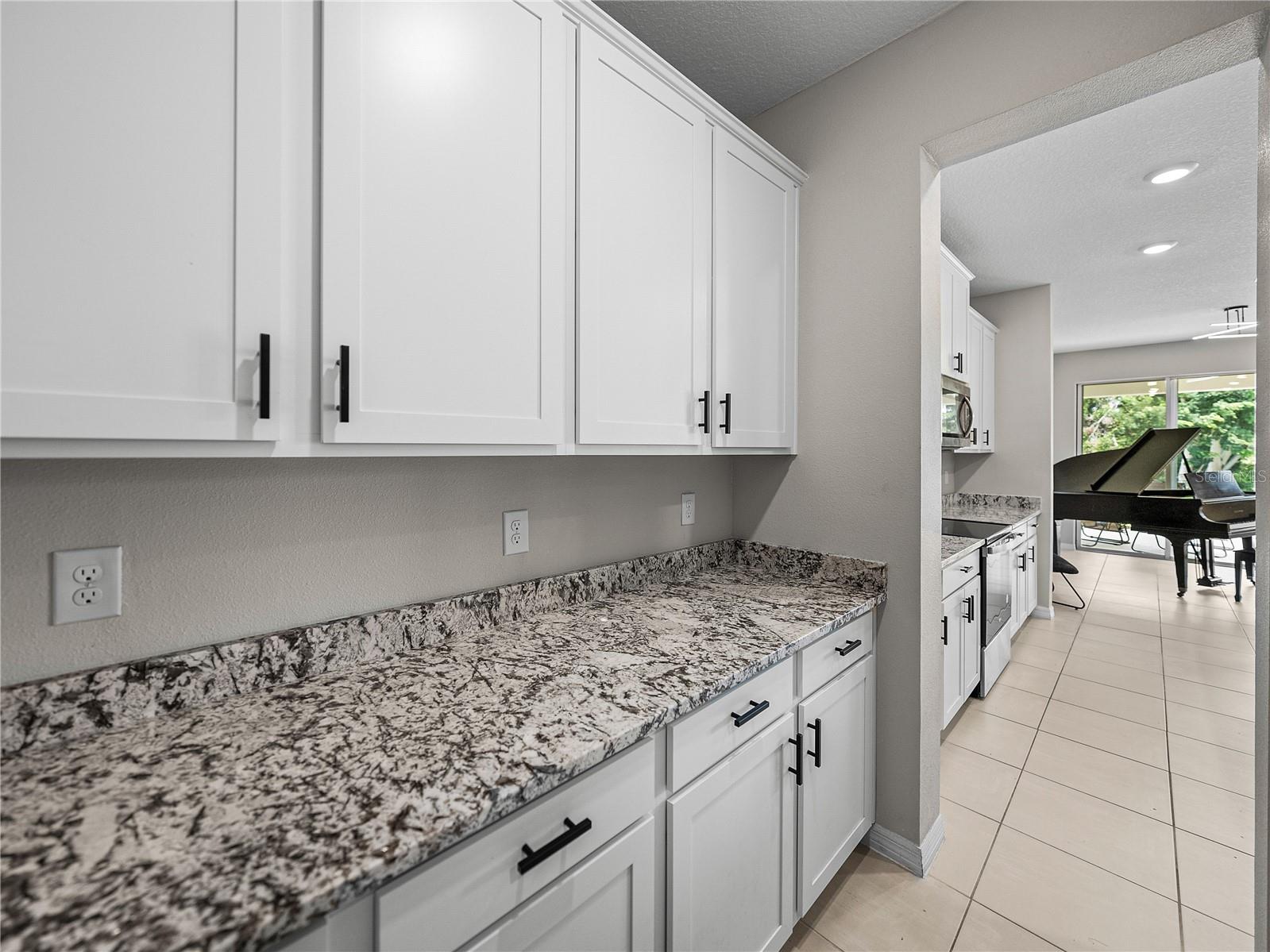 Single Family Residence in DADE CITY FL 13735 WINEBERRY DRIVE 24.jpg