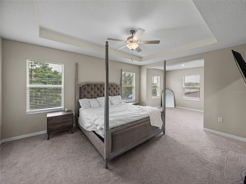 Single Family Residence in DADE CITY FL 13735 WINEBERRY DRIVE 40.jpg