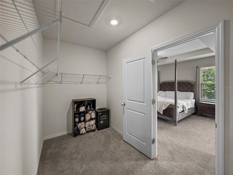 Single Family Residence in DADE CITY FL 13735 WINEBERRY DRIVE 47.jpg