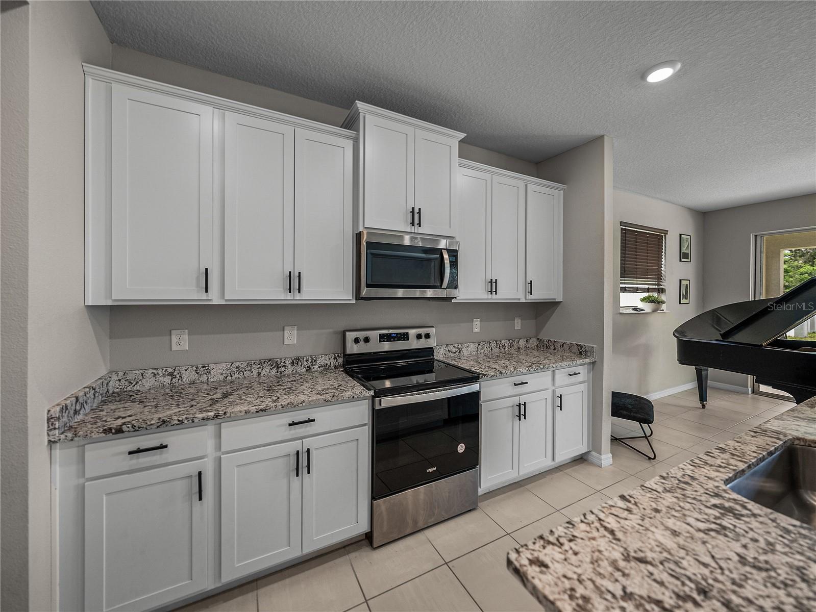 Single Family Residence in DADE CITY FL 13735 WINEBERRY DRIVE 20.jpg