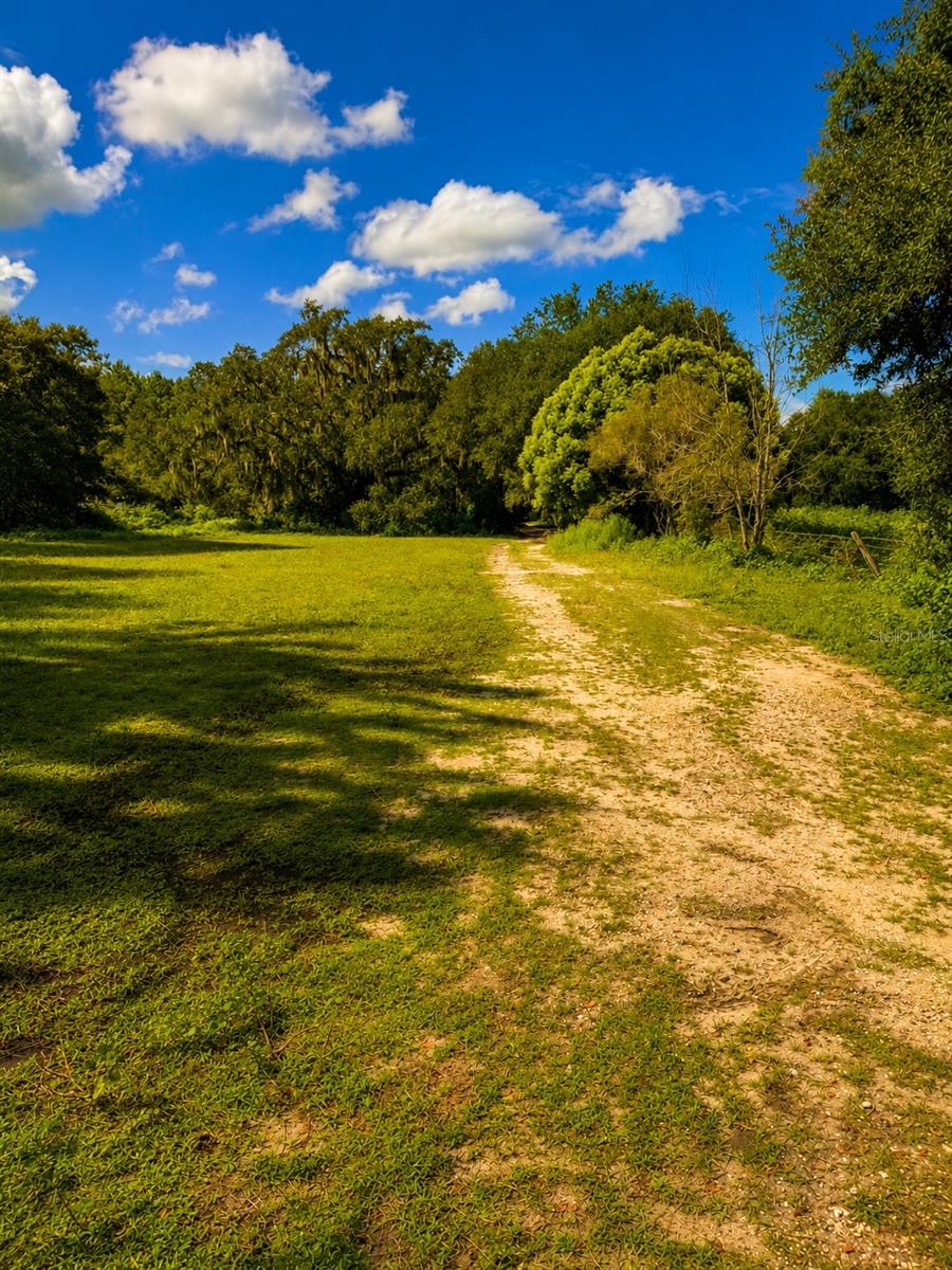 3230 Saturn Rd, Brooksville, FL 34604 photo