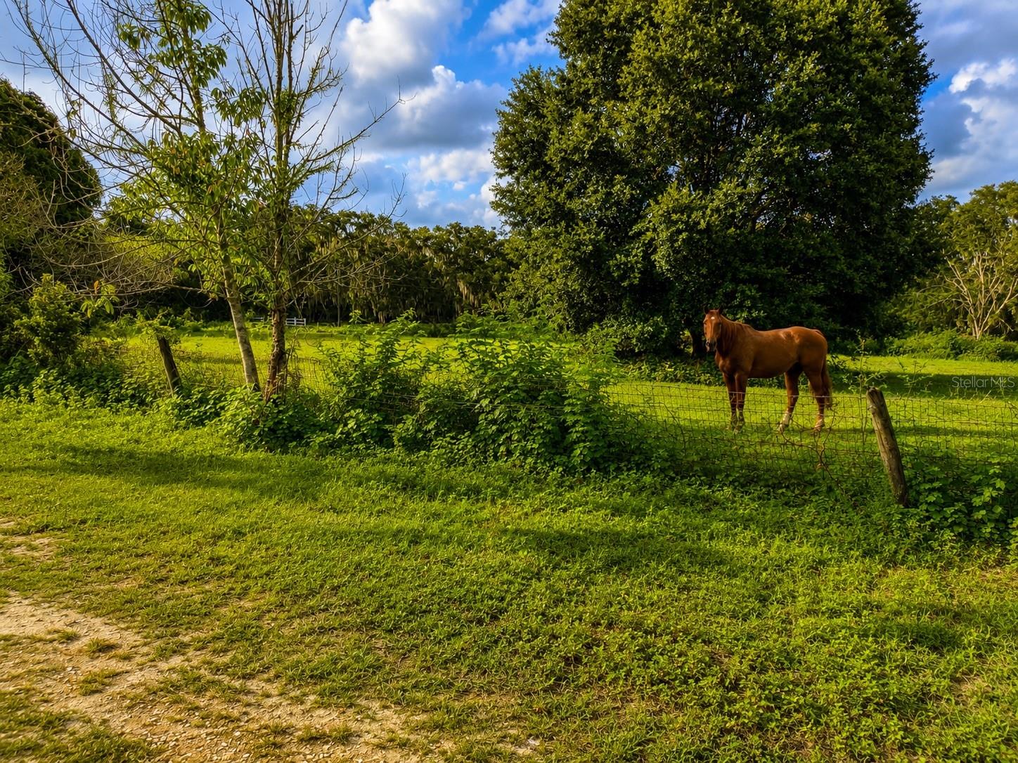 3230 Saturn Rd, Brooksville, FL 34604 photo