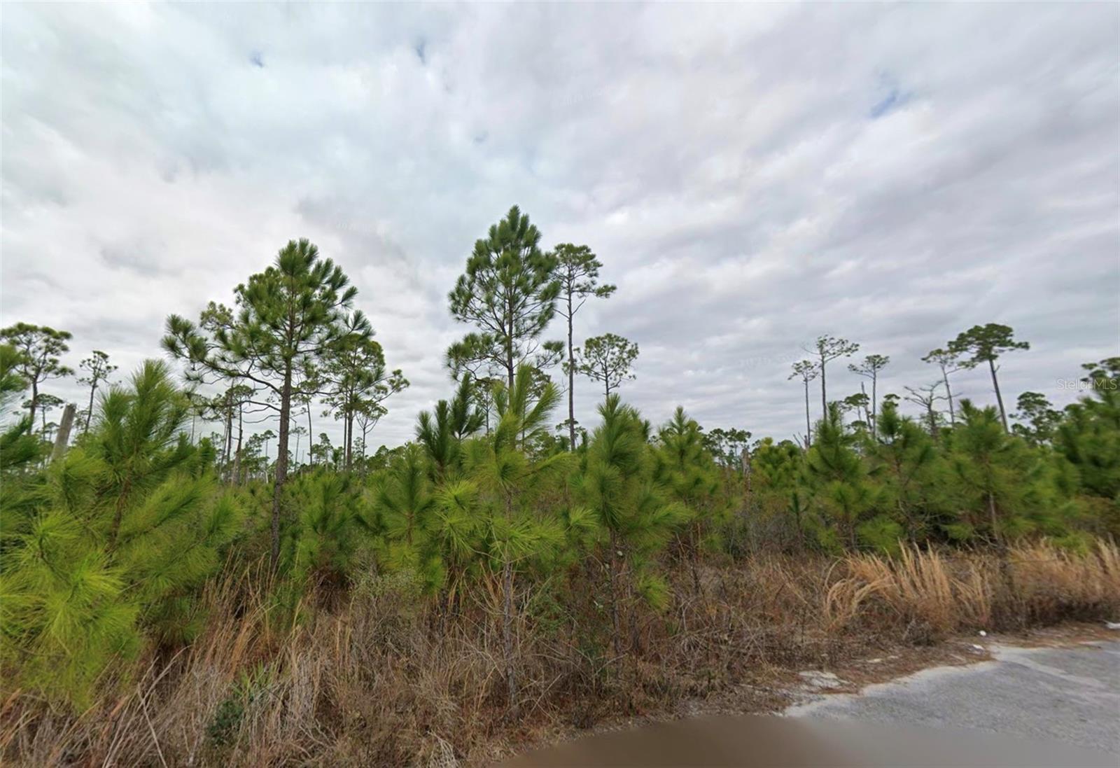 2706 Sting Ray Rd, Panama City, FL 32404 photo