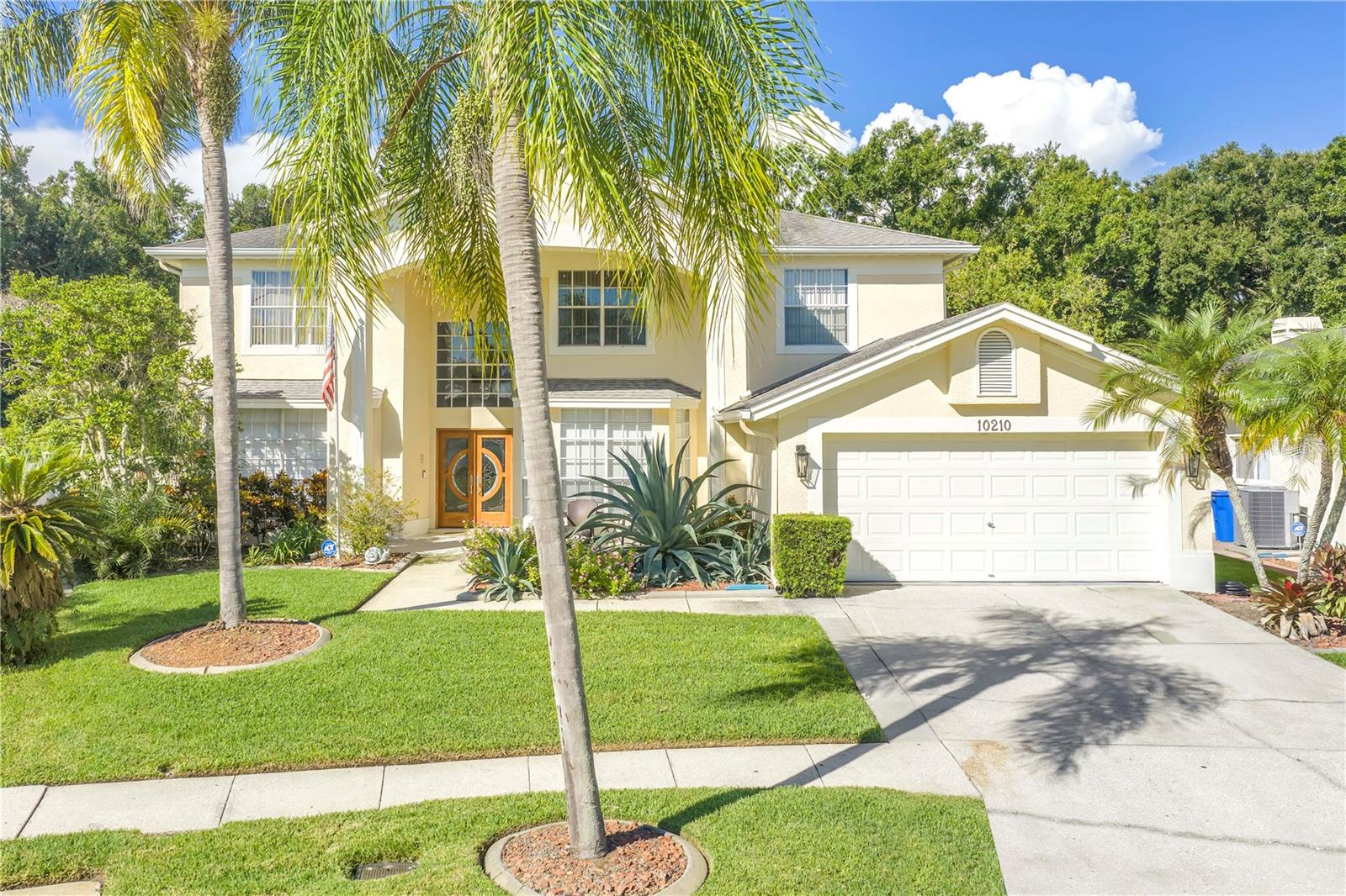 10210 Vista Pointe Dr, Tampa, FL 33635