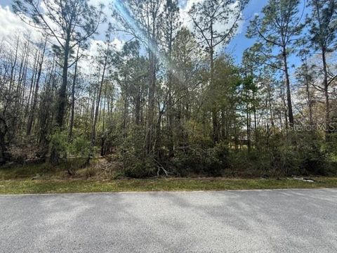  in WESLEY CHAPEL FL GREEN WILLOW RUN #LOT 759.jpg