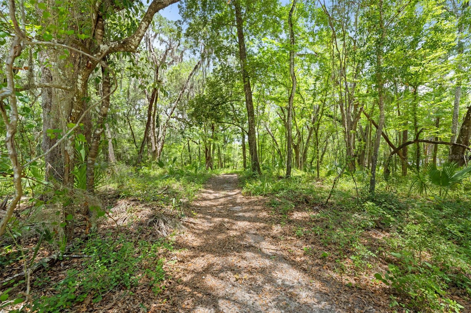 0 Ricebird Ave #LOT 10 11, Weeki Wachee, FL 34614 photo