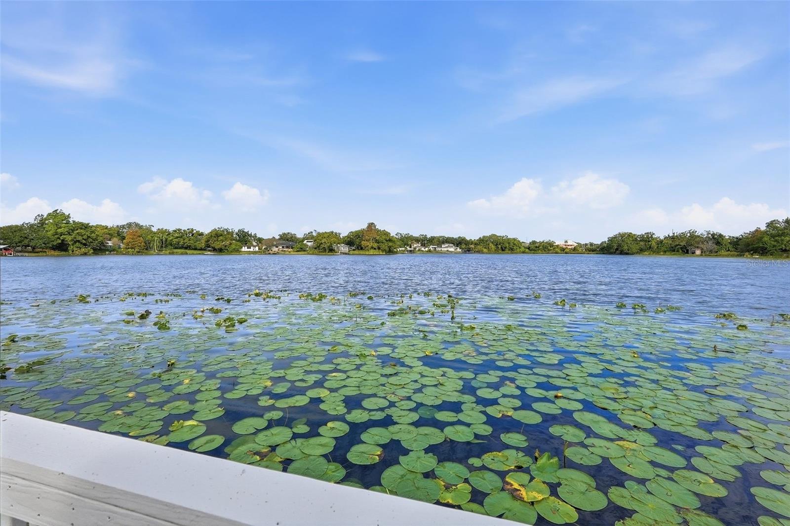 2814 W Humphrey St, Tampa, FL 33614 photo