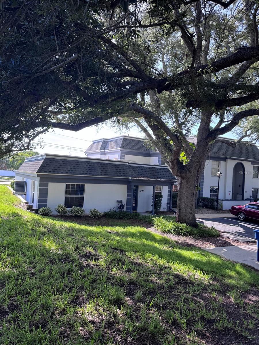 1201 N Mcmullen Booth Rd, Clearwater, FL 33759 photo