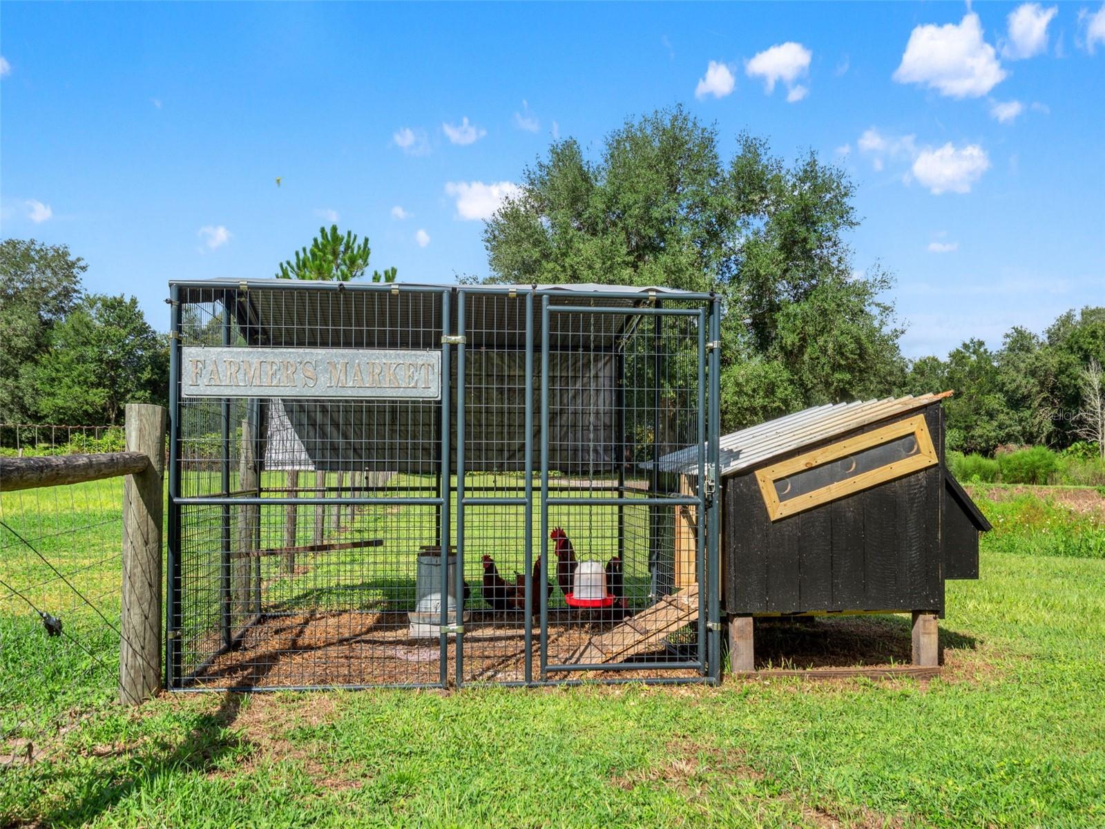 2827 Hammock Grove Rd, Groveland, FL 34736 photo