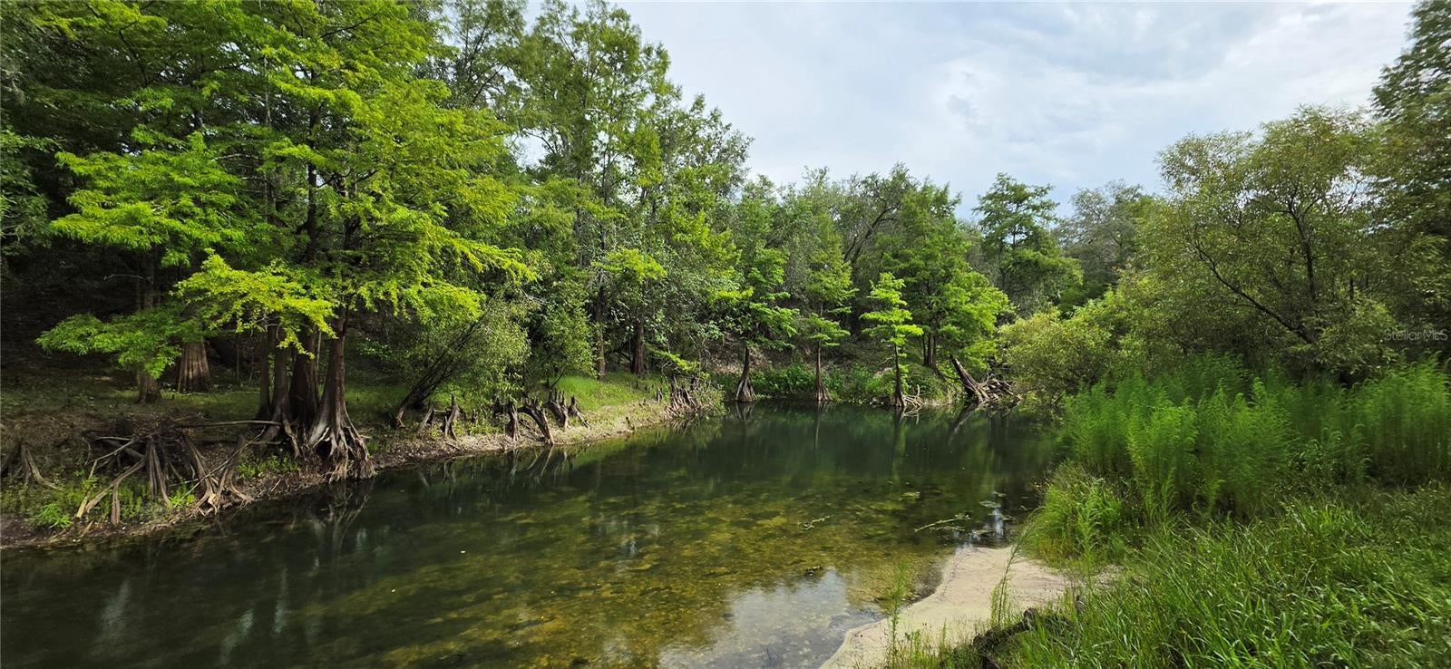 0 Round Table Rd, Dade City, FL 33523 photo