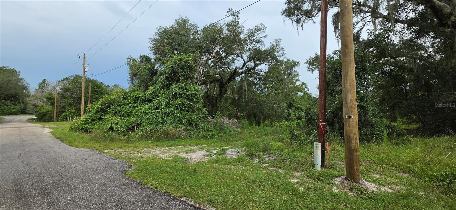 0 Round Table Rd, Dade City, FL 33523 photo