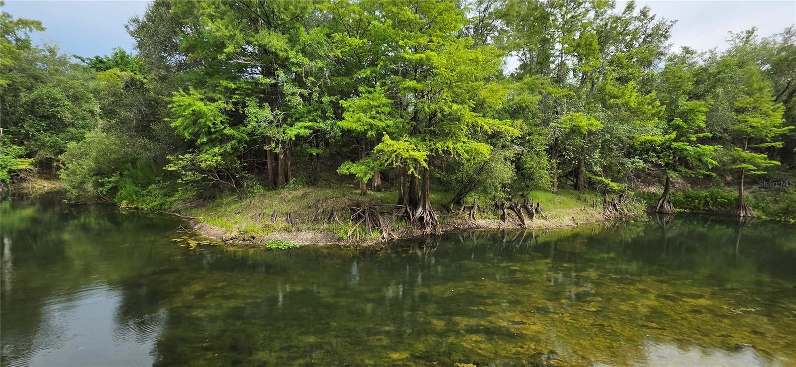 0 Round Table Rd, Dade City, FL 33523 photo