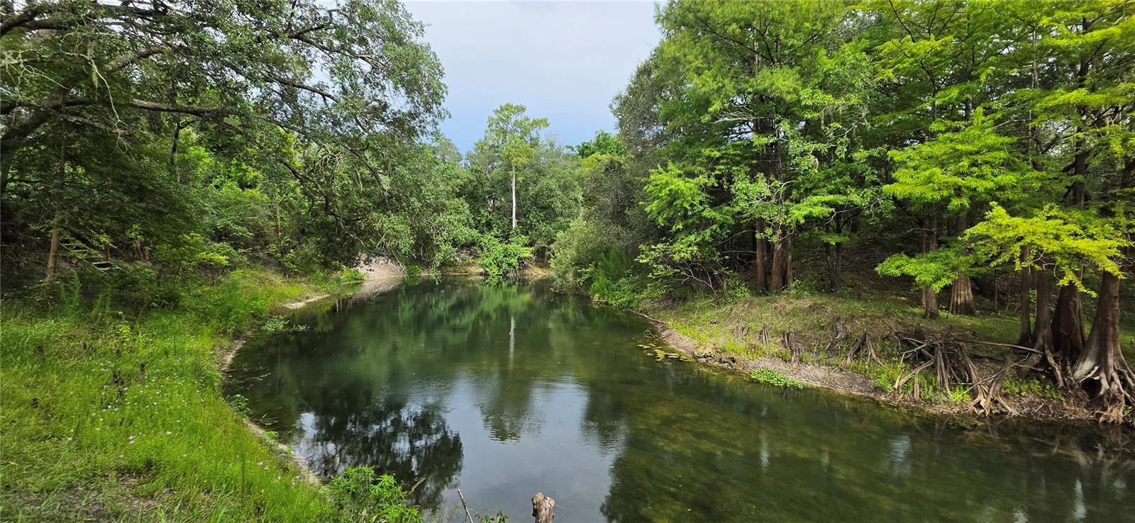 0 Round Table Rd, Dade City, FL 33523