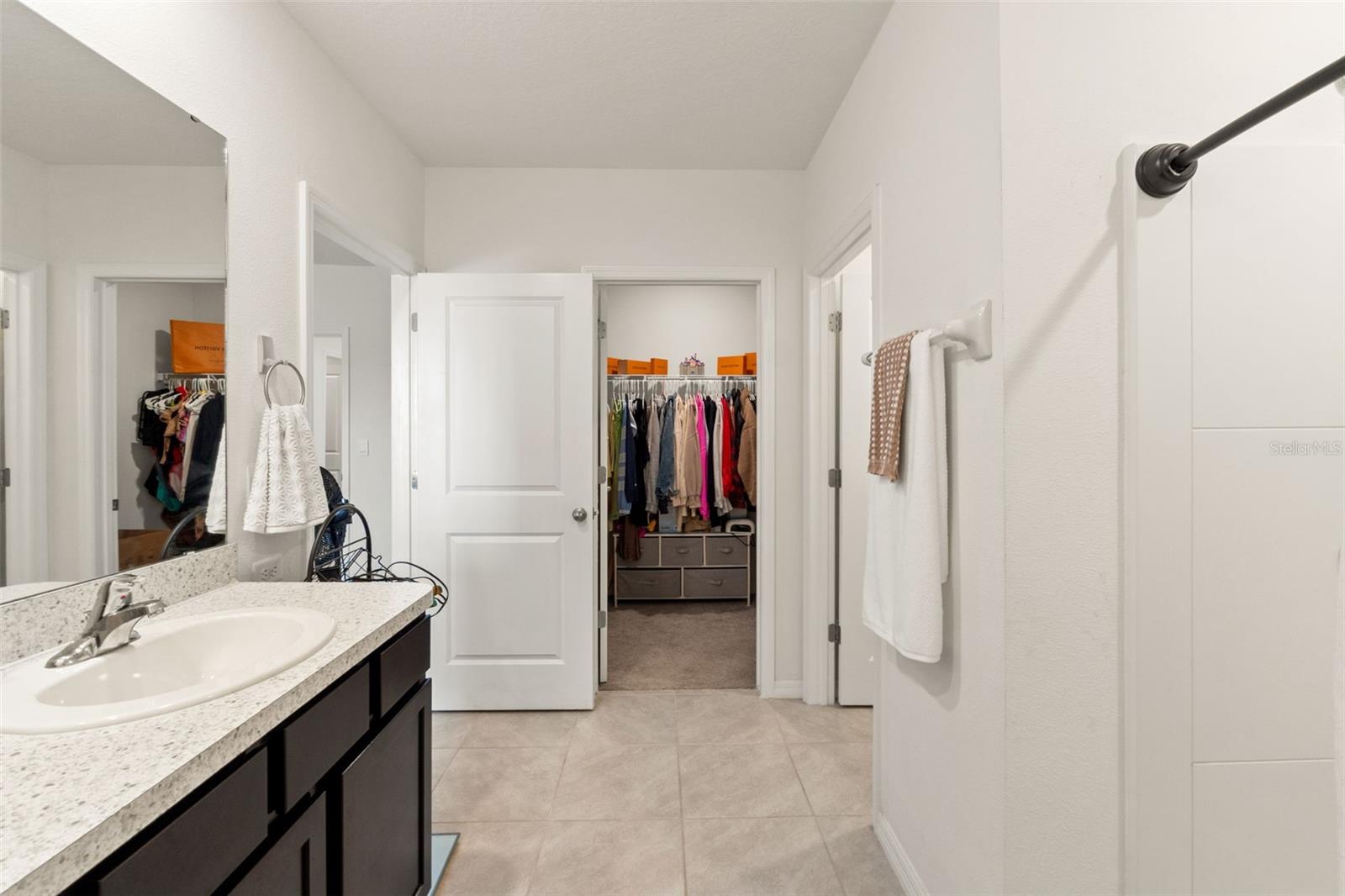 33567 Hamilton Hill Ln, Wesley Chapel, FL 33545 photo