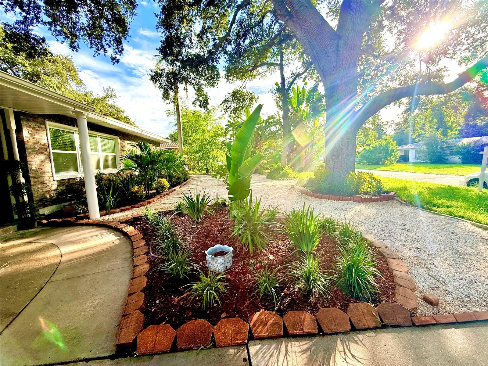 1557 Robinson Dr, Saint Petersburg, FL 33710 photo