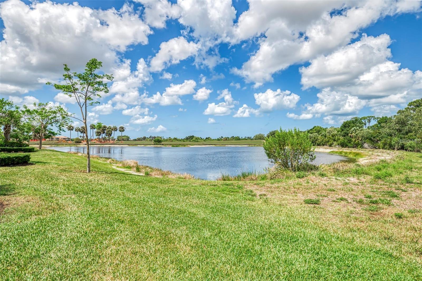 23321 Awabuki Dr #8 102, Venice, FL 34293 photo