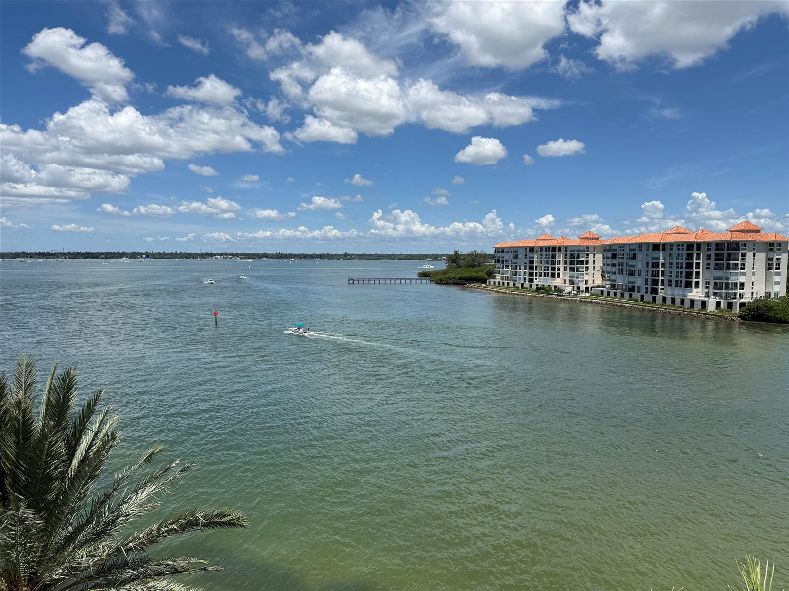 4993 Bacopa Ln #505, Saint Petersburg, FL 33715 photo