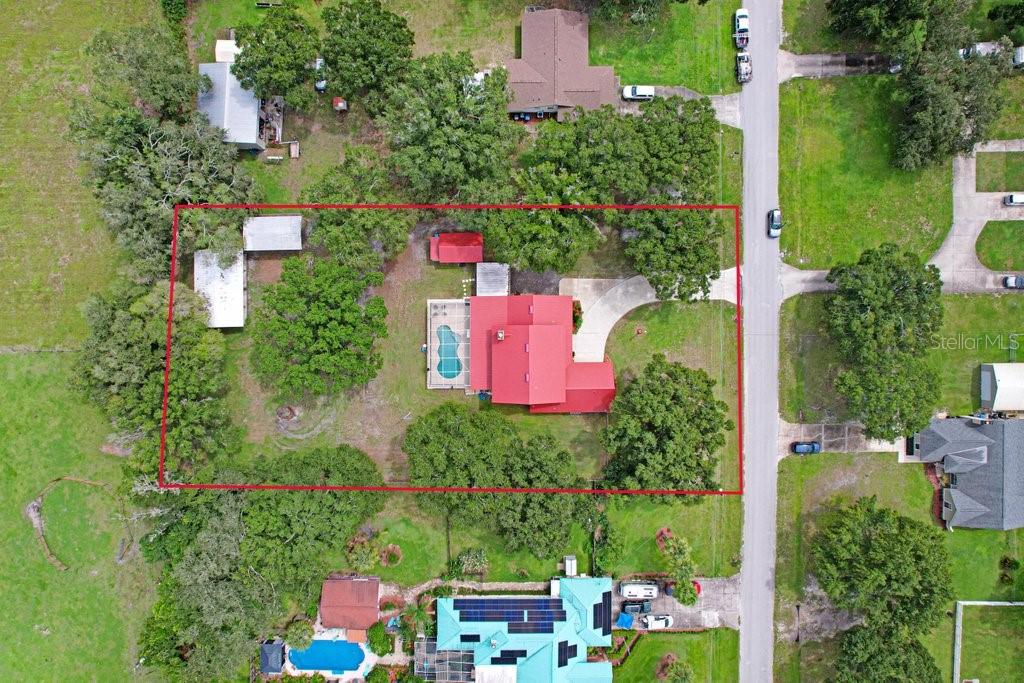 13108 Lilita Ave, Dover, FL 33527 photo