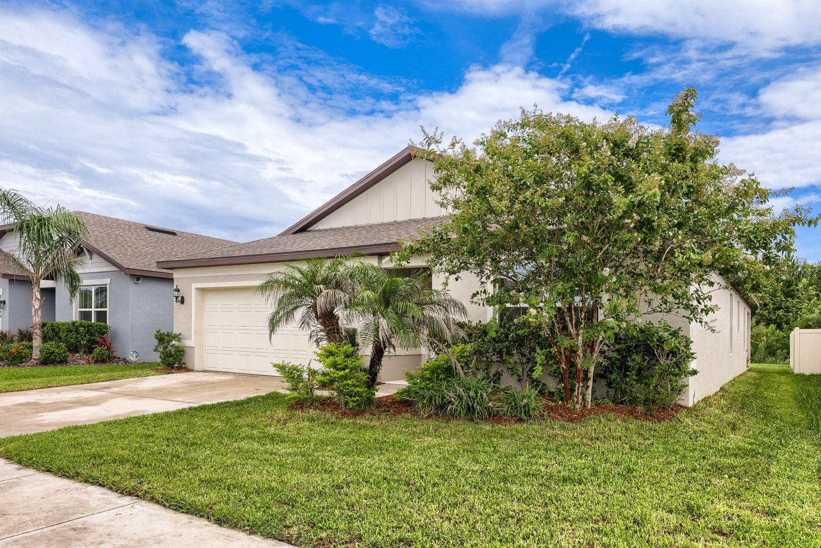 30169 Merilee Pl, Wesley Chapel, FL 33545 photo