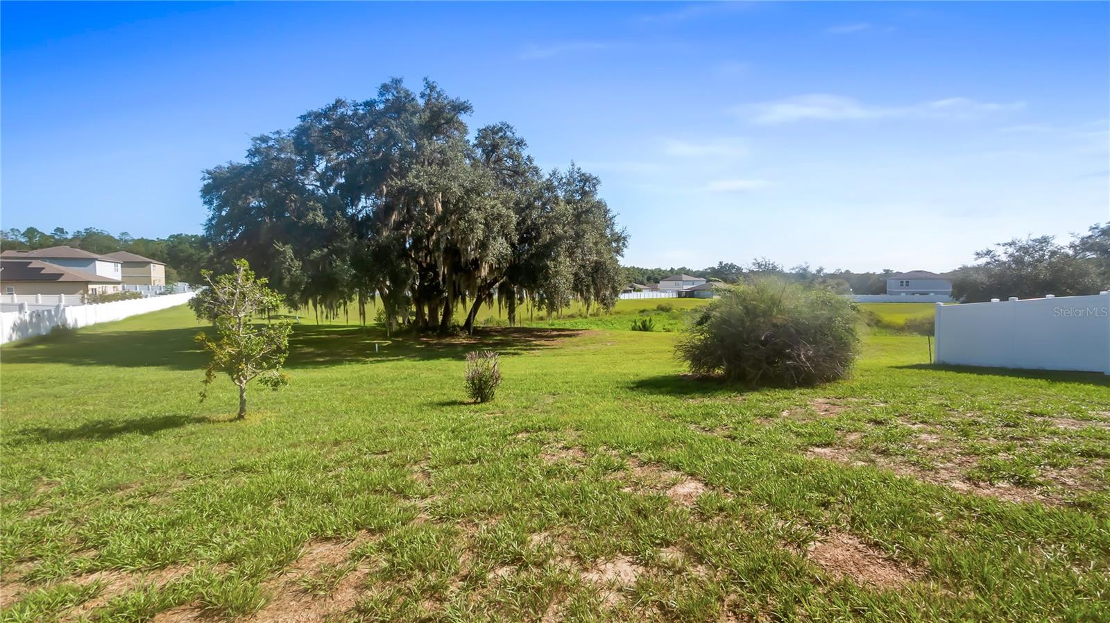 15409 Ivory Gull Ln, Mascotte, FL 34753 photo