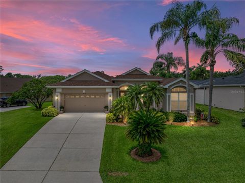 Single Family Residence in DADE CITY FL 12413 WOODLANDS CIRCLE.jpg