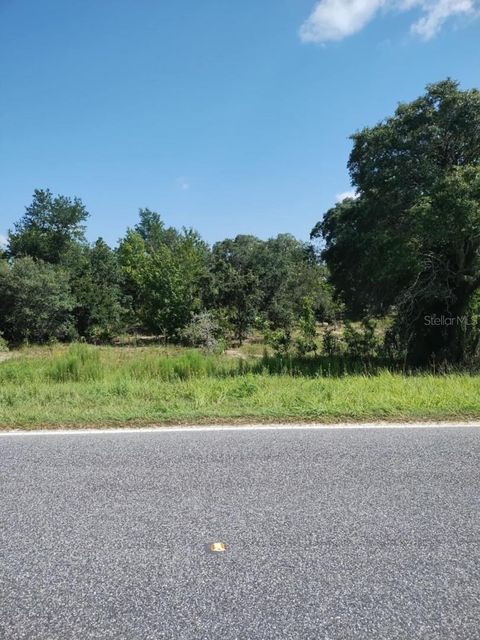  in WILLISTON FL 0 LEVY STREET.jpg