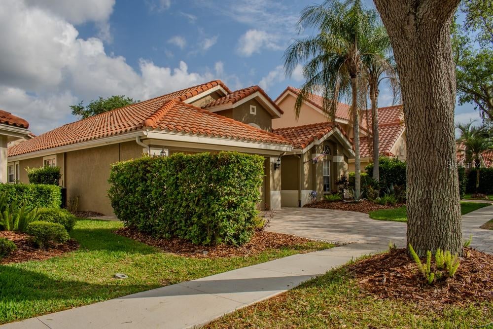 18919 Place Marquette, Lutz, FL 33558 photo