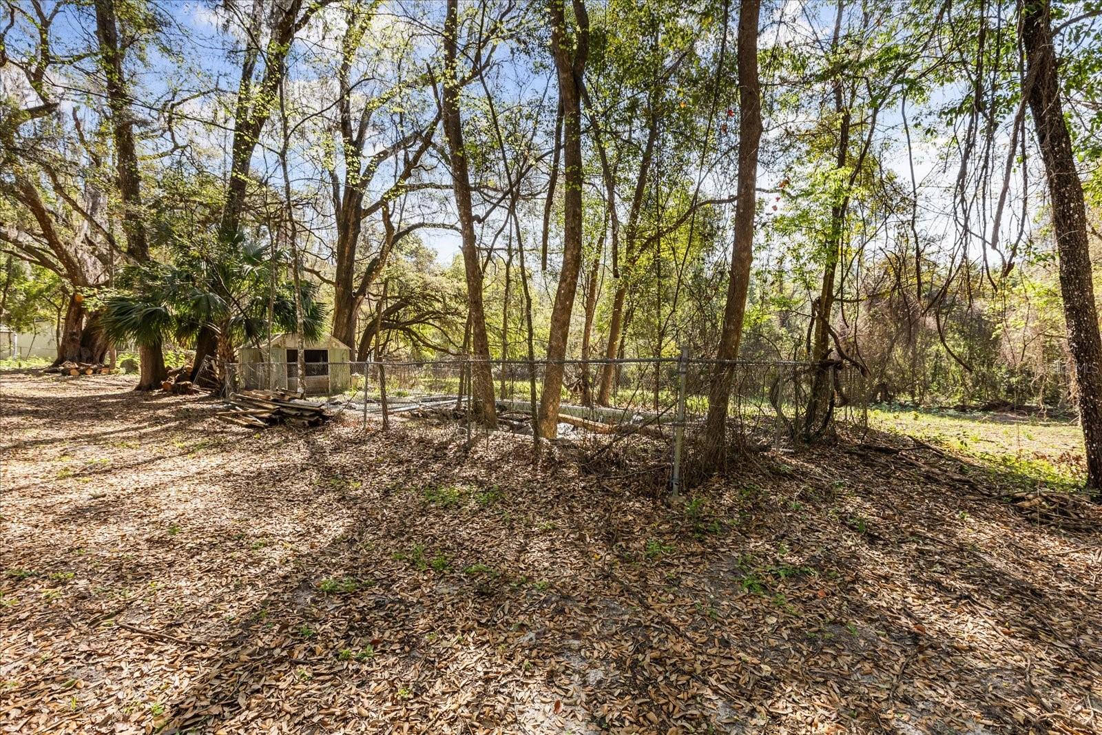 421 SW 137 Ave, Ocala, FL 34481 photo