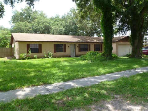 Single Family Residence in BRANDON FL 803 BILLS CIRCLE.jpg