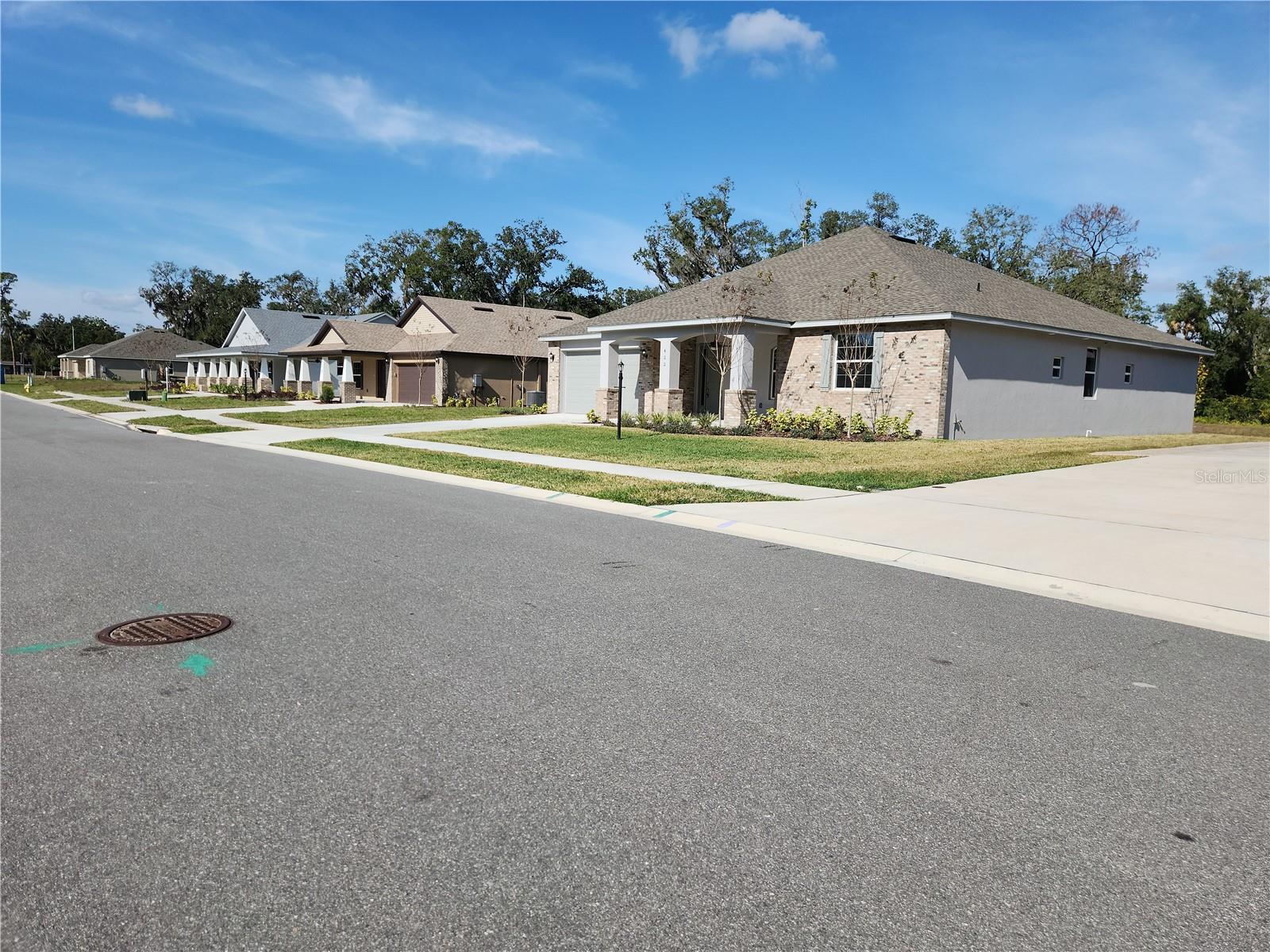 411 Shannon Estates Ct, Plant City, FL 33563 photo