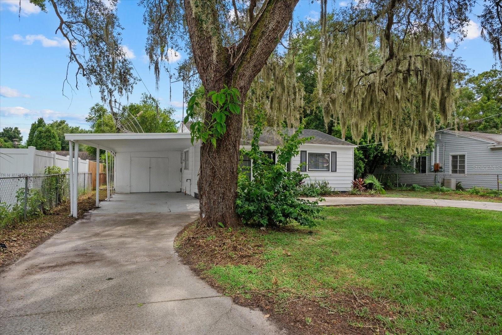 305 E Bougainvillea Ave, Tampa, FL 33612 photo