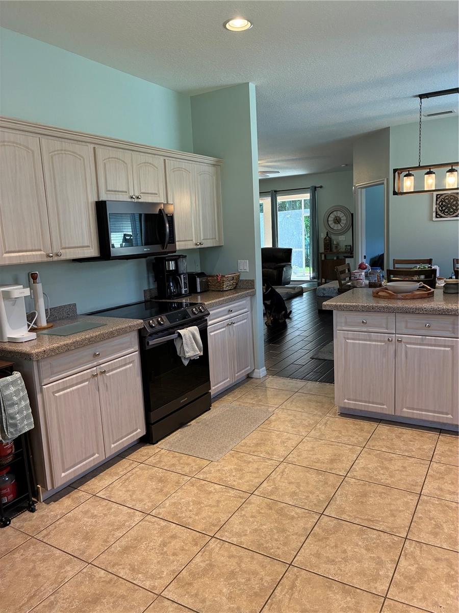8872 Founders Cir, Palmetto, FL 34221 photo