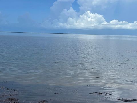  in HOLIDAY FL 0 BLUFF.jpg