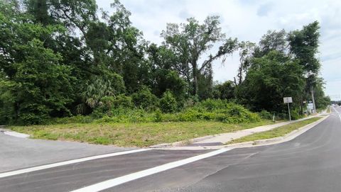  in GAINESVILLE FL 1102 SE 3RD AVENUE.jpg