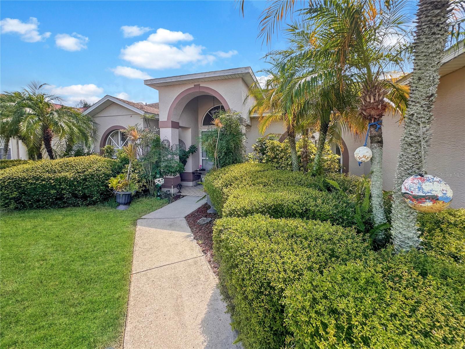 4300 Onorio St, New Port Richey, FL 34653 photo