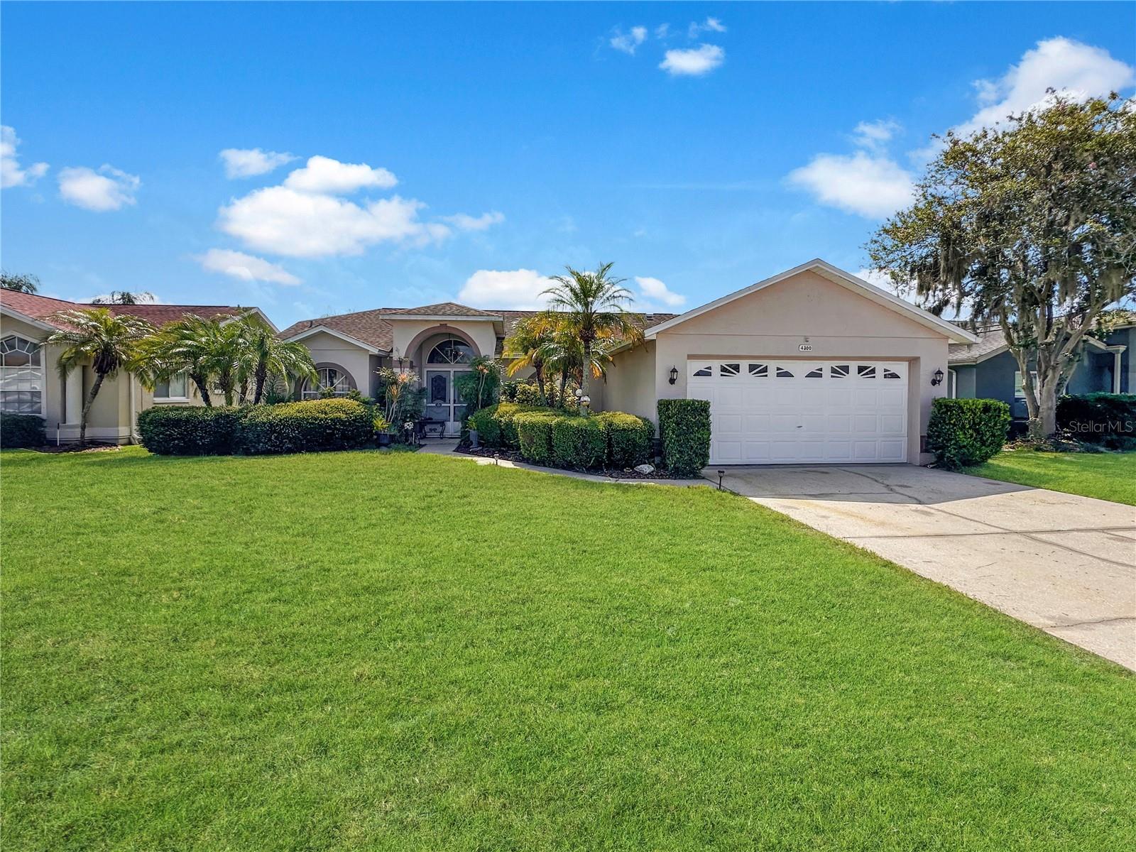 4300 Onorio St, New Port Richey, FL 34653 photo